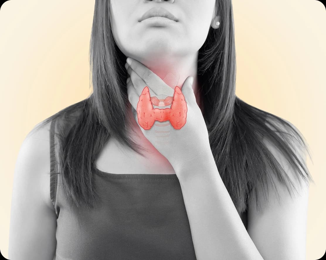 Thyroid Support